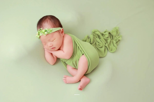 阜宁陕西助孕公司名单揭晓助孕行业新动向